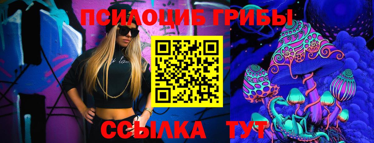 Псилоцибиновые грибы Psilocybine cubensis Коломна
