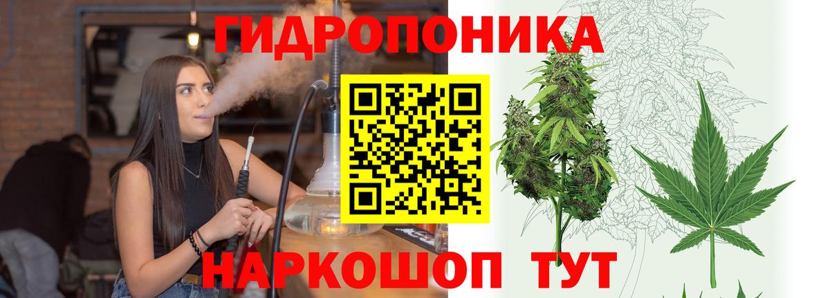 Конопля Amnesia Коломна